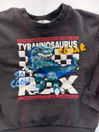 H&M Sweatshirt 5T-6 Sequin Dino