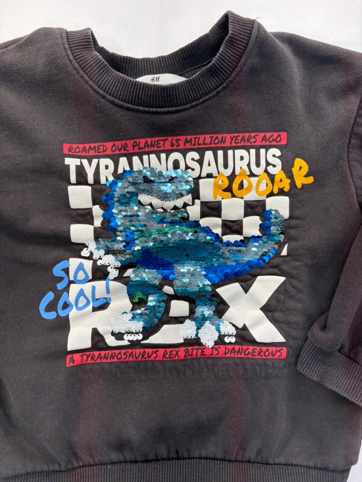 H&M Sweatshirt 5T-6 Sequin Dino