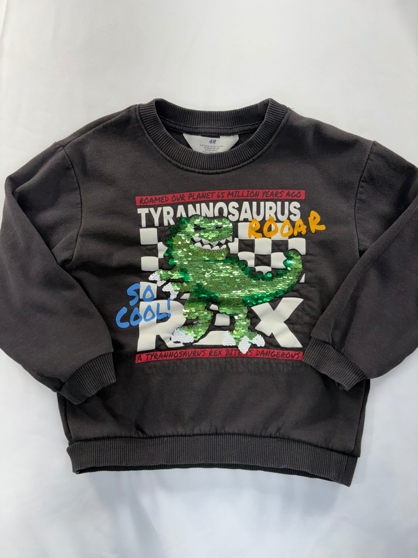 H&M Sweatshirt 5T-6 Sequin Dino